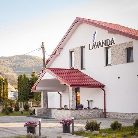 Pensiunea Lavanda, Piatra-Neamt Piatra Neamţ 外观 照片