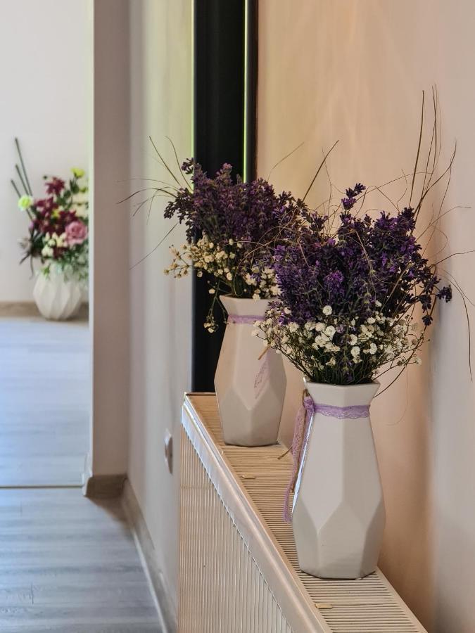 Pensiunea Lavanda, Piatra-Neamt Piatra Neamţ 外观 照片