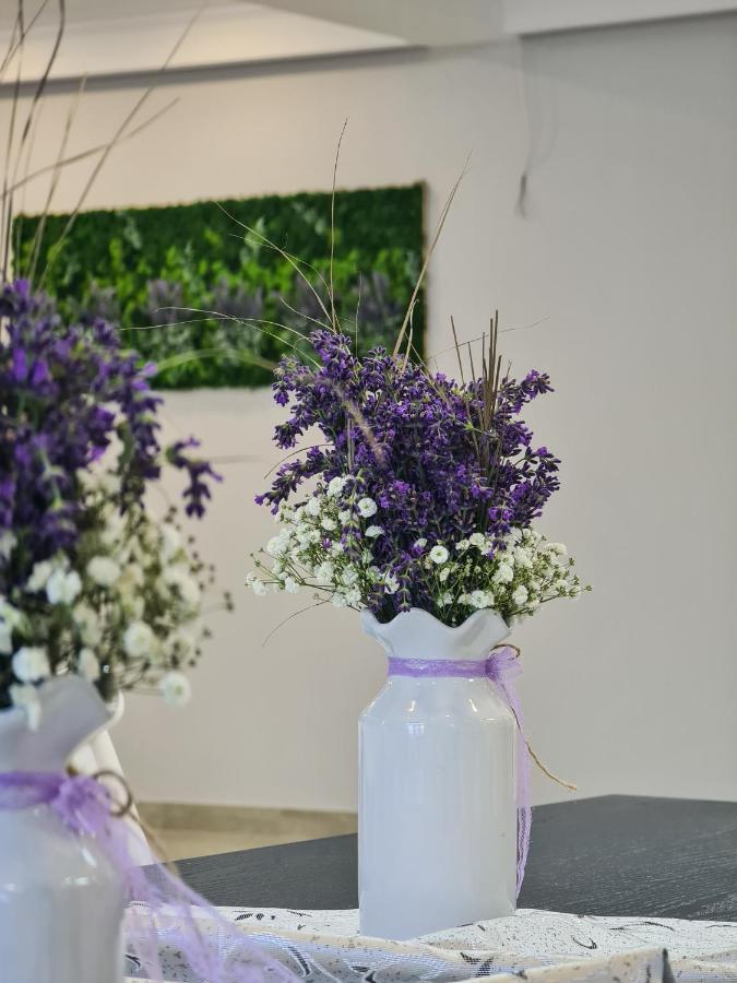 Pensiunea Lavanda, Piatra-Neamt Piatra Neamţ 外观 照片