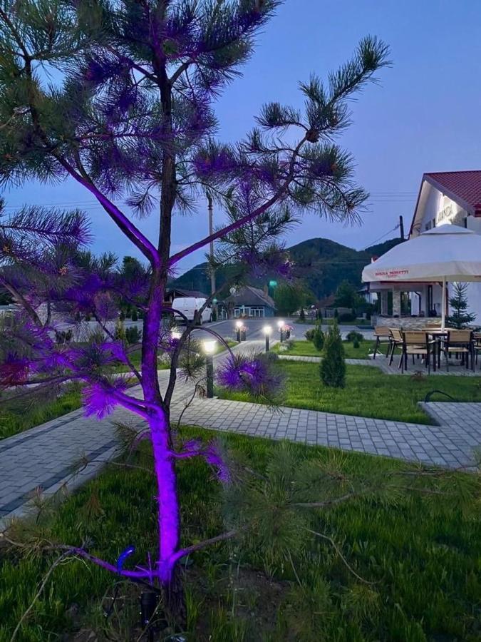 Pensiunea Lavanda, Piatra-Neamt Piatra Neamţ 外观 照片
